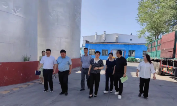 提信心 促發(fā)展|奎屯市副市長、伊犁州科技局局長、奎屯市科技局局長一行調(diào)研金雪馳奎屯工廠